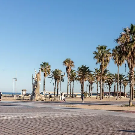 Ca Celieta Iv Valencia